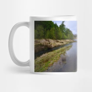 Blea Tarn Mug